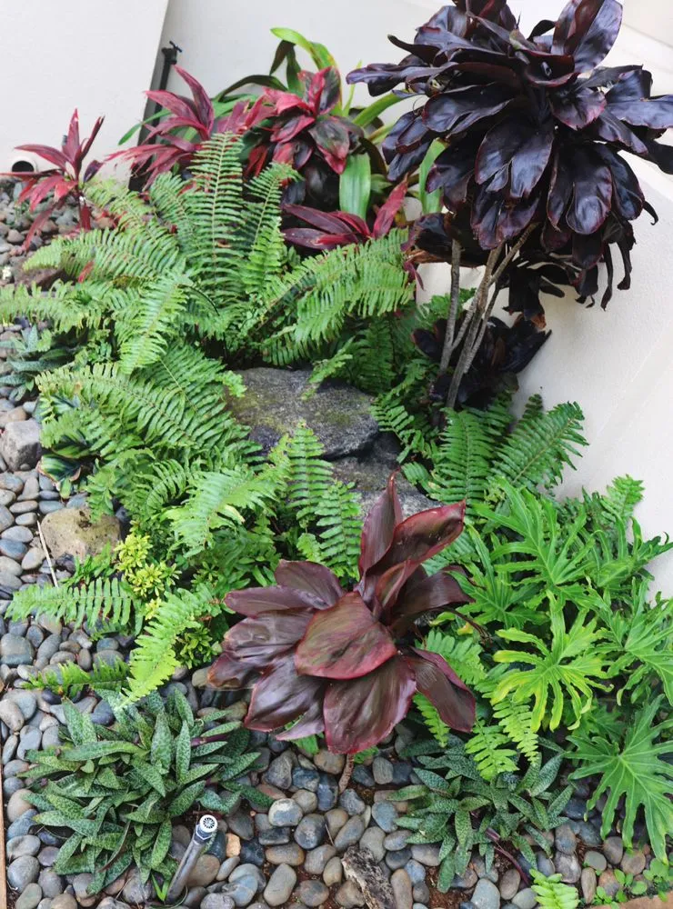 Reliable landscaping services in Mililani, HI by Gonda Landscaping