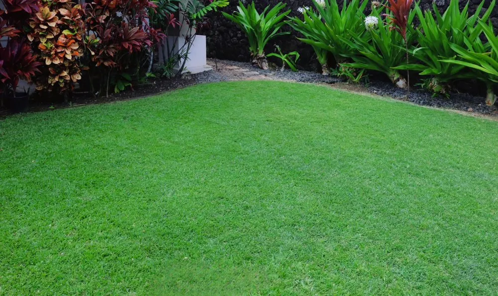 Trusted yard cleanup service for residential properties in Mililani, HI by Gonda Landscaping