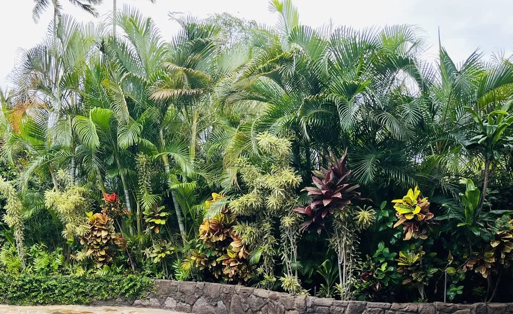 Local yard maintenance experts serving Mililani, HI - Gonda Landscaping