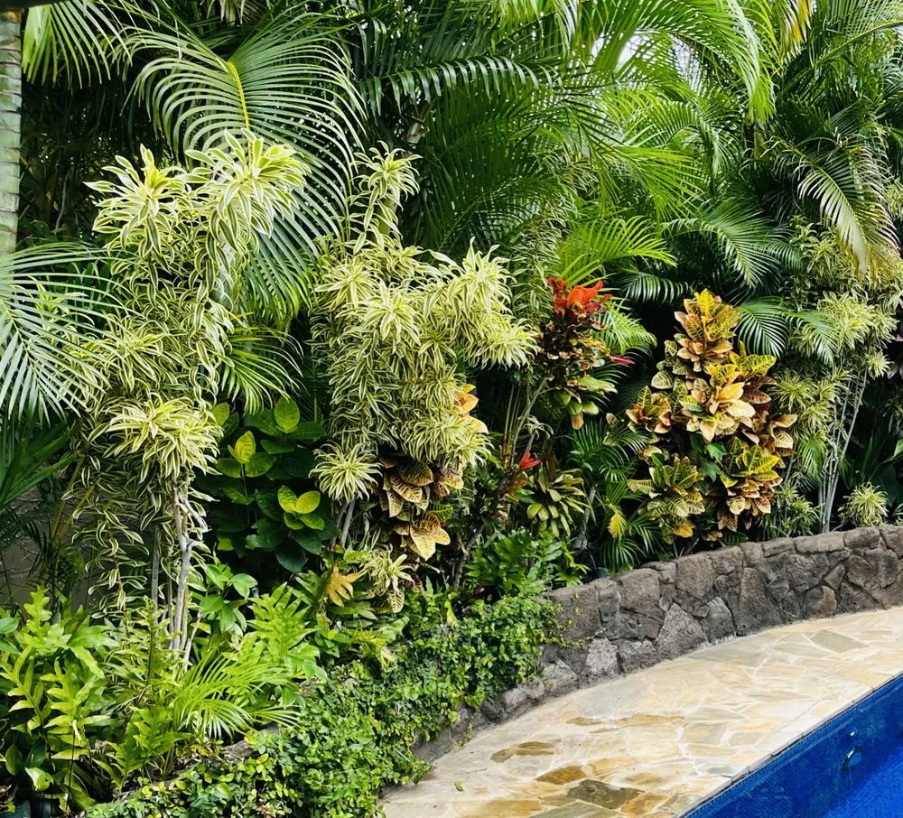 Local yard maintenance experts serving Mililani, HI - Gonda Landscaping