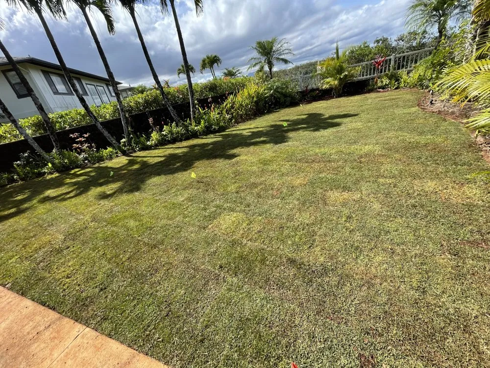 Top-rated yard maintenance for outdoor upgrades across Mililani, HI - Gonda Landscaping