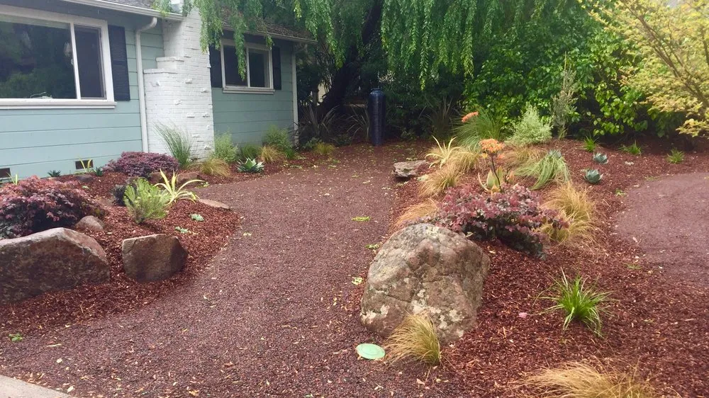 Local outdoor landscaping in Martinez, CA by Gondwana Flora