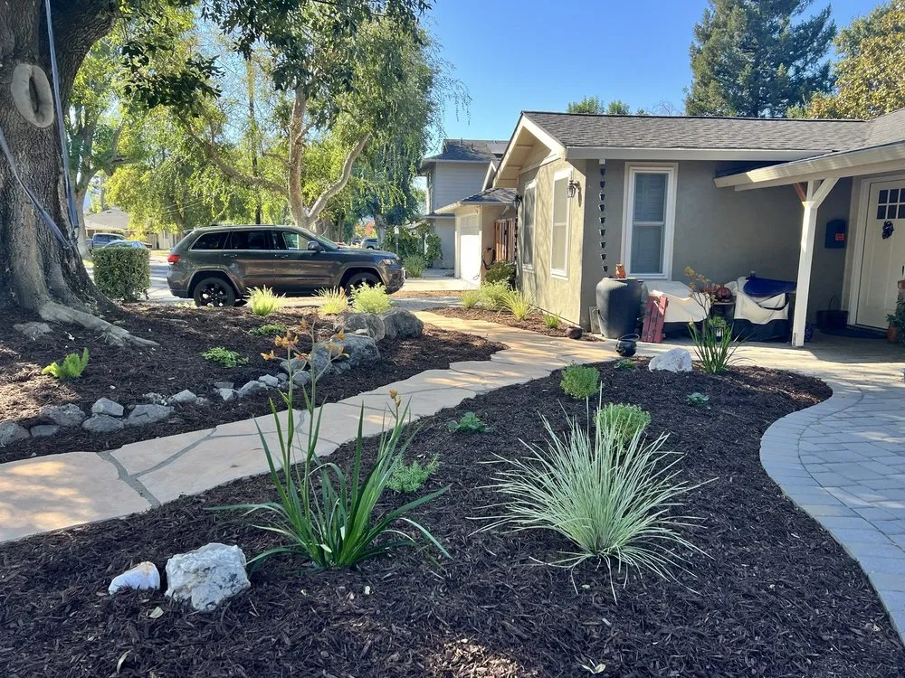 Reliable yard cleanup service in Martinez, CA - Gondwana Flora
