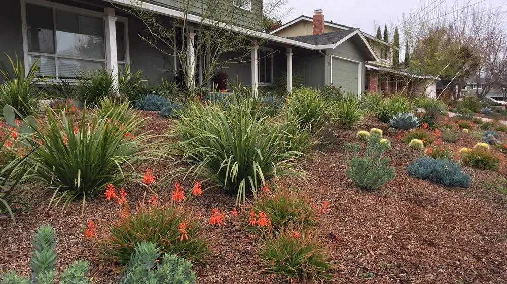 Reliable lawn care service in Martinez, CA - Gondwana Flora
