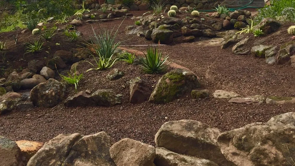 Local outdoor landscaping near you in Martinez, CA by Gondwana Flora