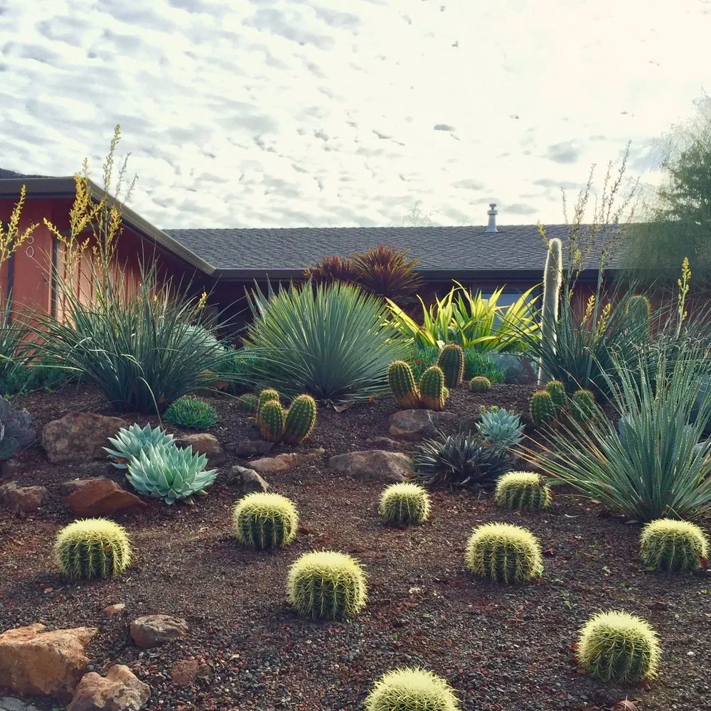 Trusted outdoor landscaping for beautiful yards across Martinez, CA - Gondwana Flora