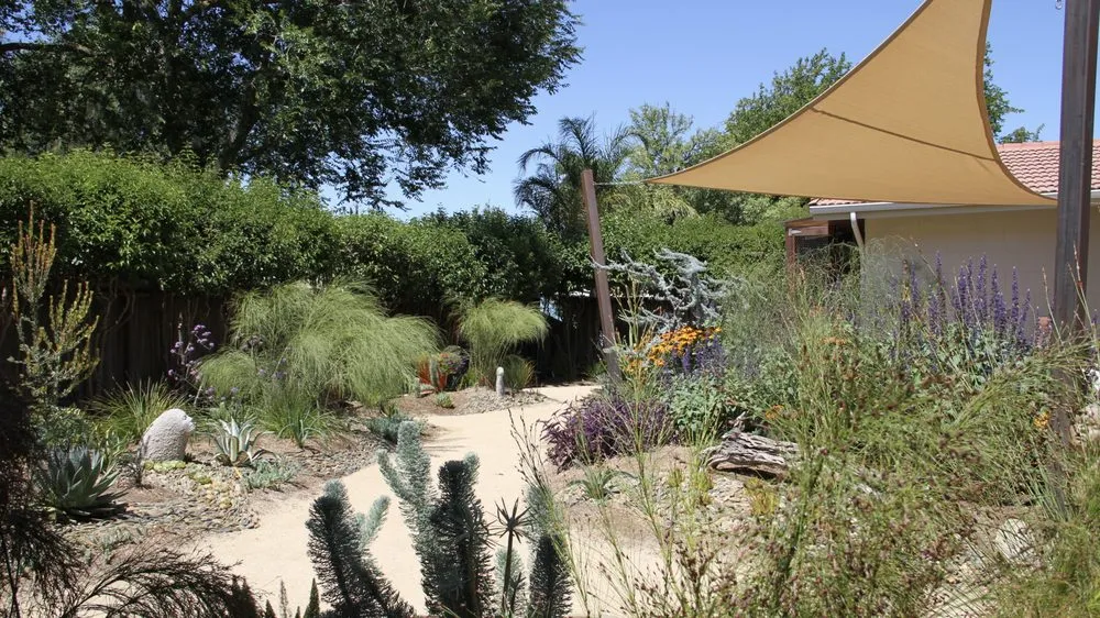 Affordable lawn care service near you in Martinez, CA by Gondwana Flora