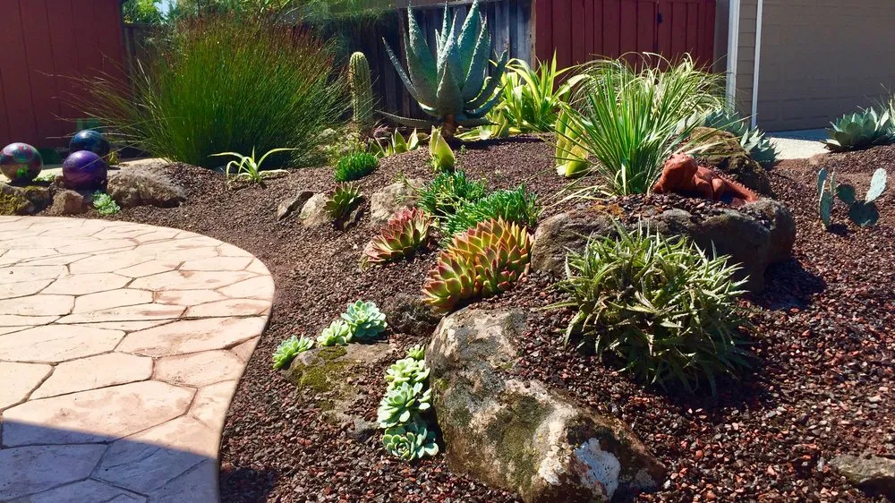 Professional residential landscaping in Martinez, CA - Gondwana Flora