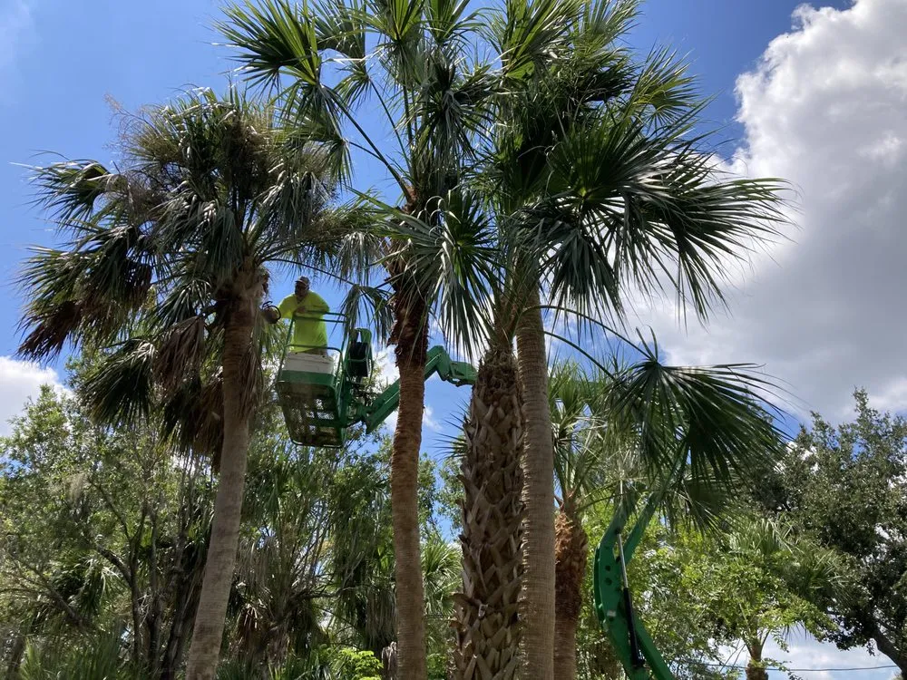 Professional yard cleanup service experts serving North Port, FL - Gone Fishing Lawncare