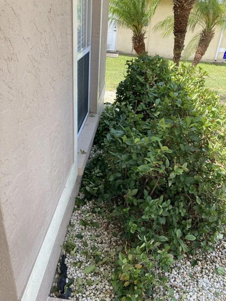 Custom landscape installation for outdoor upgrades across North Port, FL - Gone Fishing Lawncare