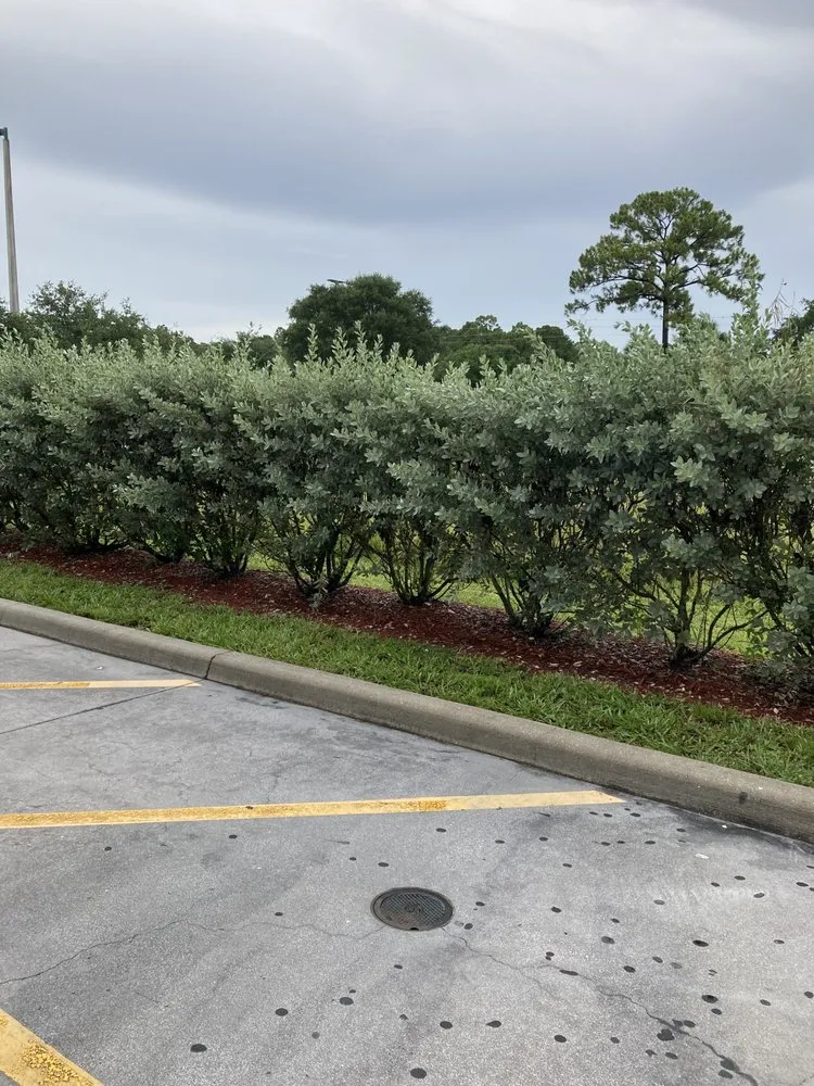 Expert landscaping services in North Port, FL by Gone Fishing Lawncare