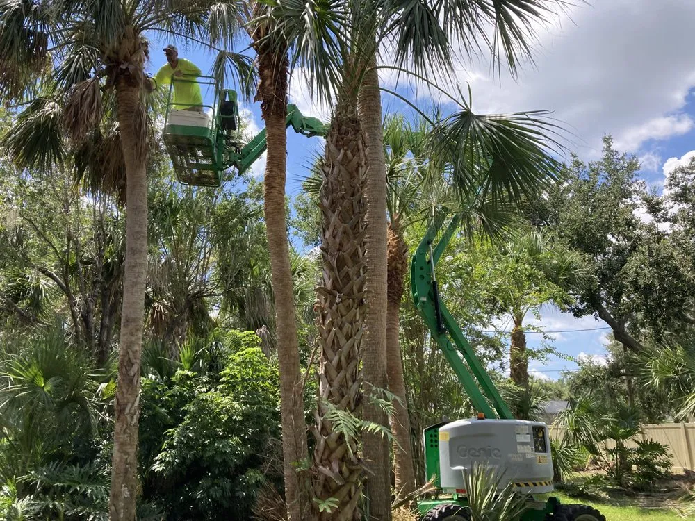 Trusted lawn mowing service in North Port, FL by Gone Fishing Lawncare