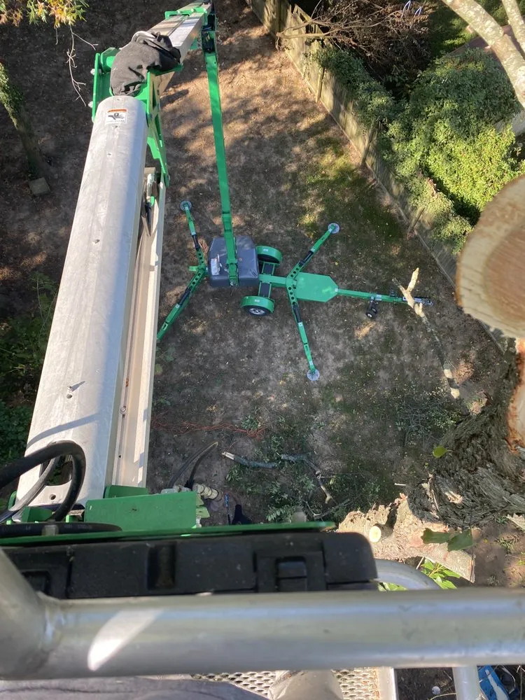 Expert lawn care service for beautiful yards in Felton, DE by Gone Get Her Done