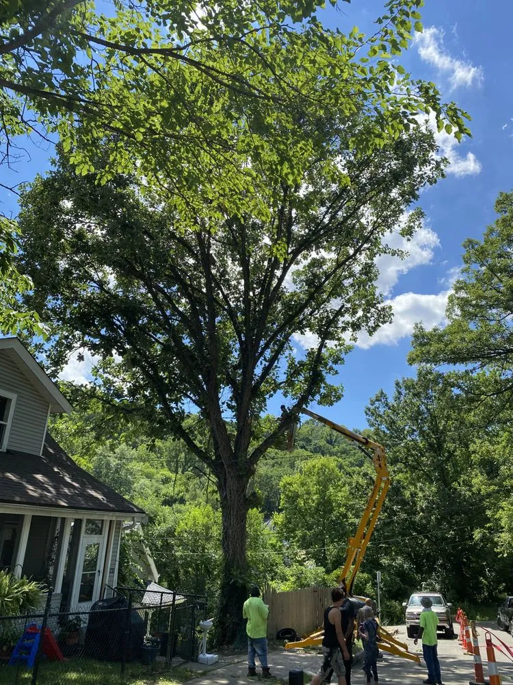 Professional outdoor landscaping experts serving Cincinnati, OH - Gone Green Landscaping