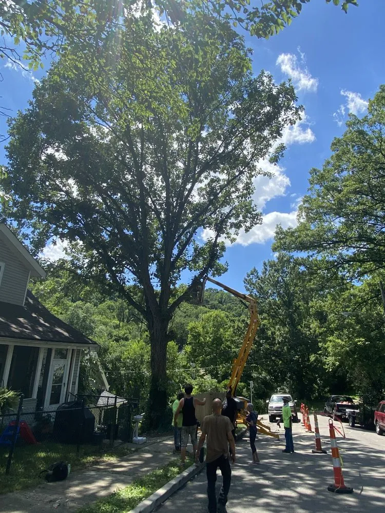 Local landscape design in Cincinnati, OH by Gone Green Landscaping