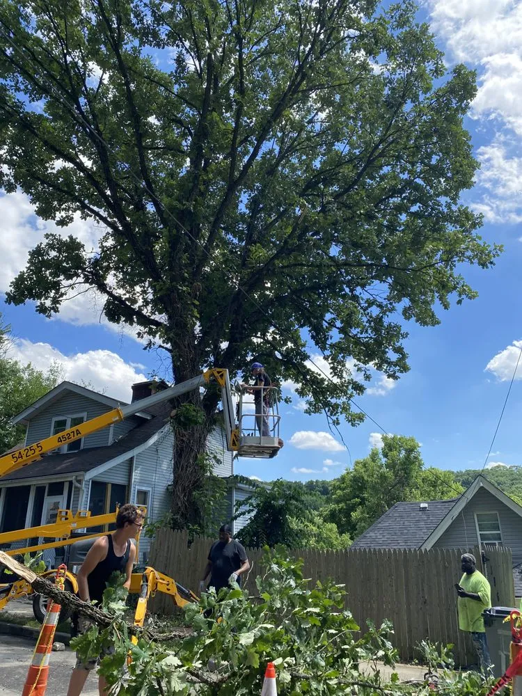 Custom landscaping services in Cincinnati, OH by Gone Green Landscaping