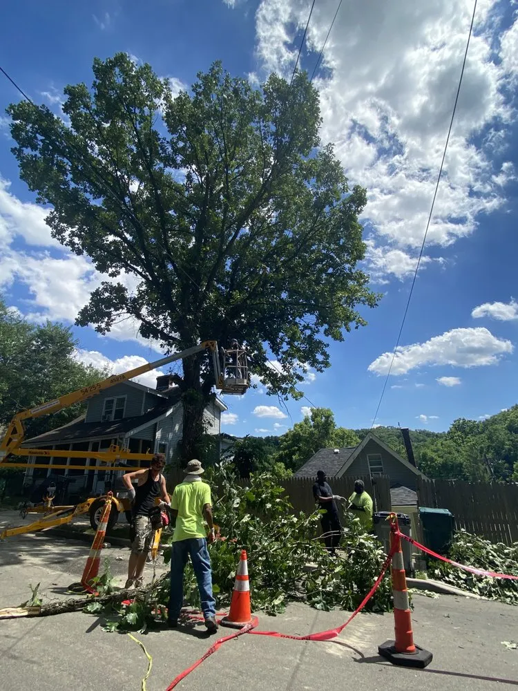 Local landscape design experts serving Cincinnati, OH - Gone Green Landscaping