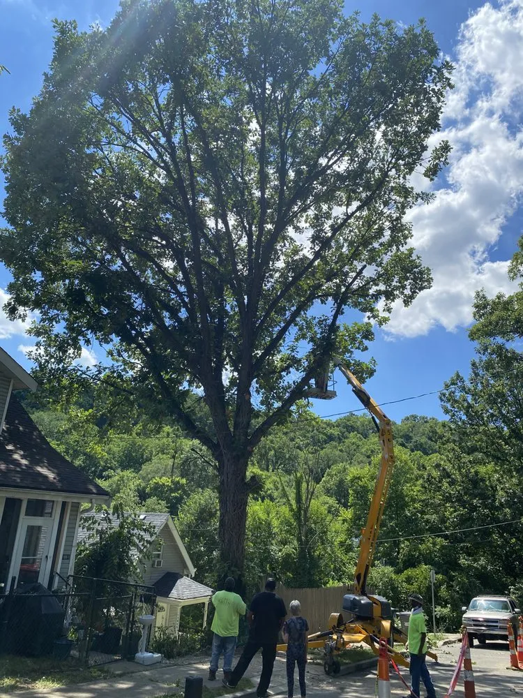 Local outdoor landscaping in Cincinnati, OH - Gone Green Landscaping