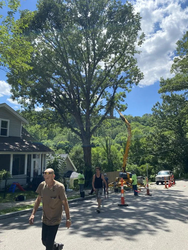 Trusted landscaping services in Cincinnati, OH - Gone Green Landscaping