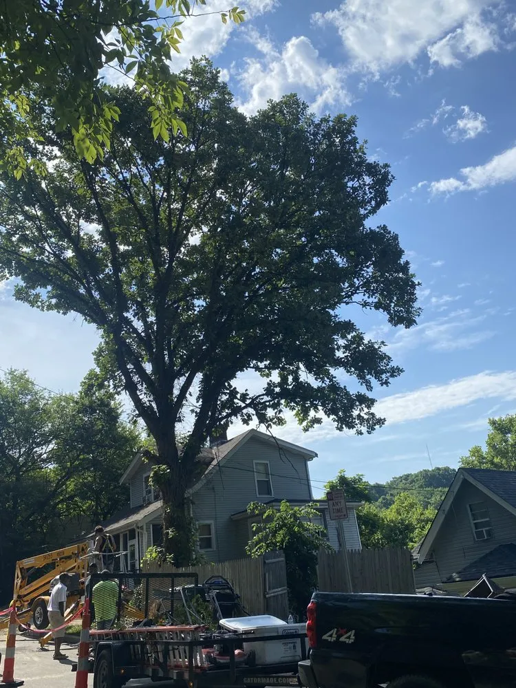 Custom garden landscaping in Cincinnati, OH by Gone Green Landscaping