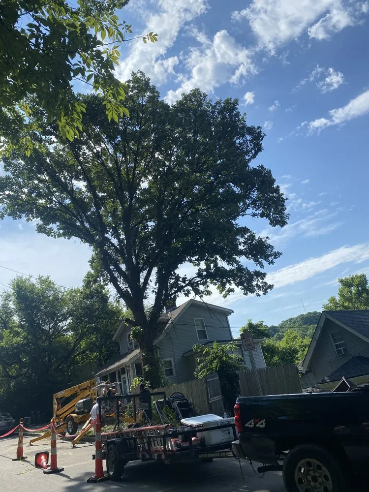 Trusted lawn mowing service for outdoor upgrades across Cincinnati, OH - Gone Green Landscaping