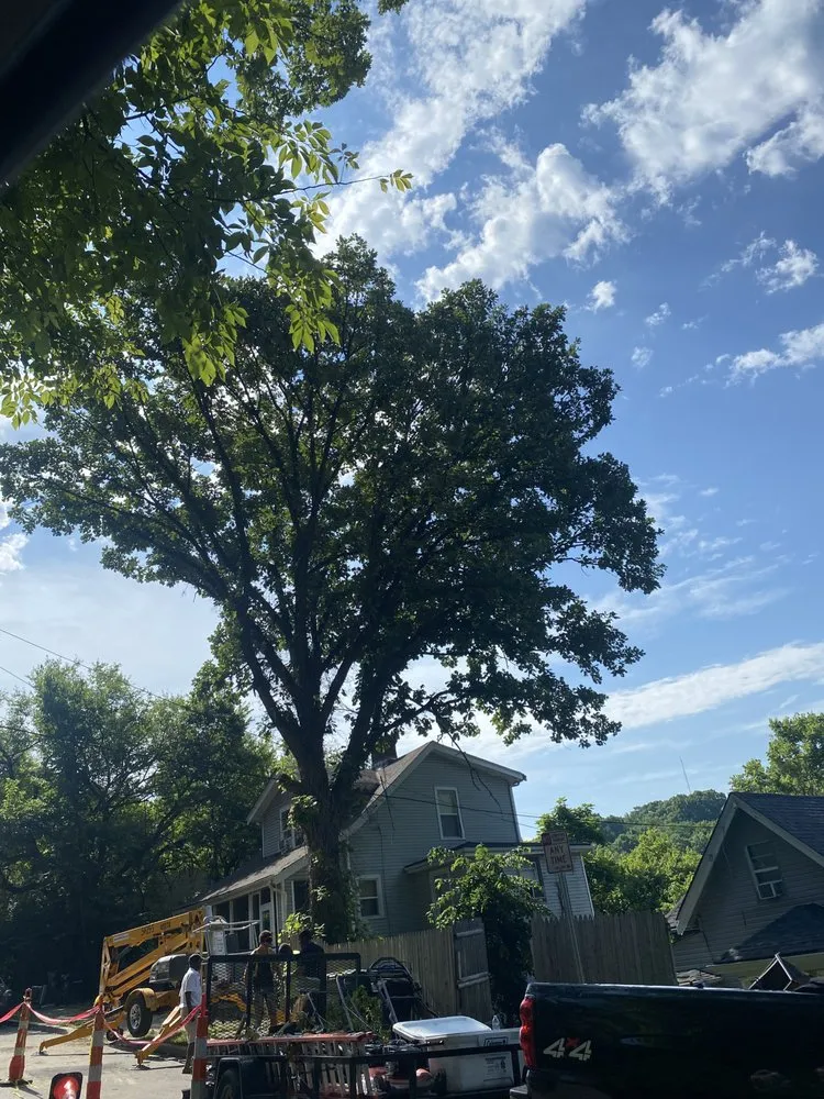 Affordable lawn mowing service for residential properties across Cincinnati, OH - Gone Green Landscaping