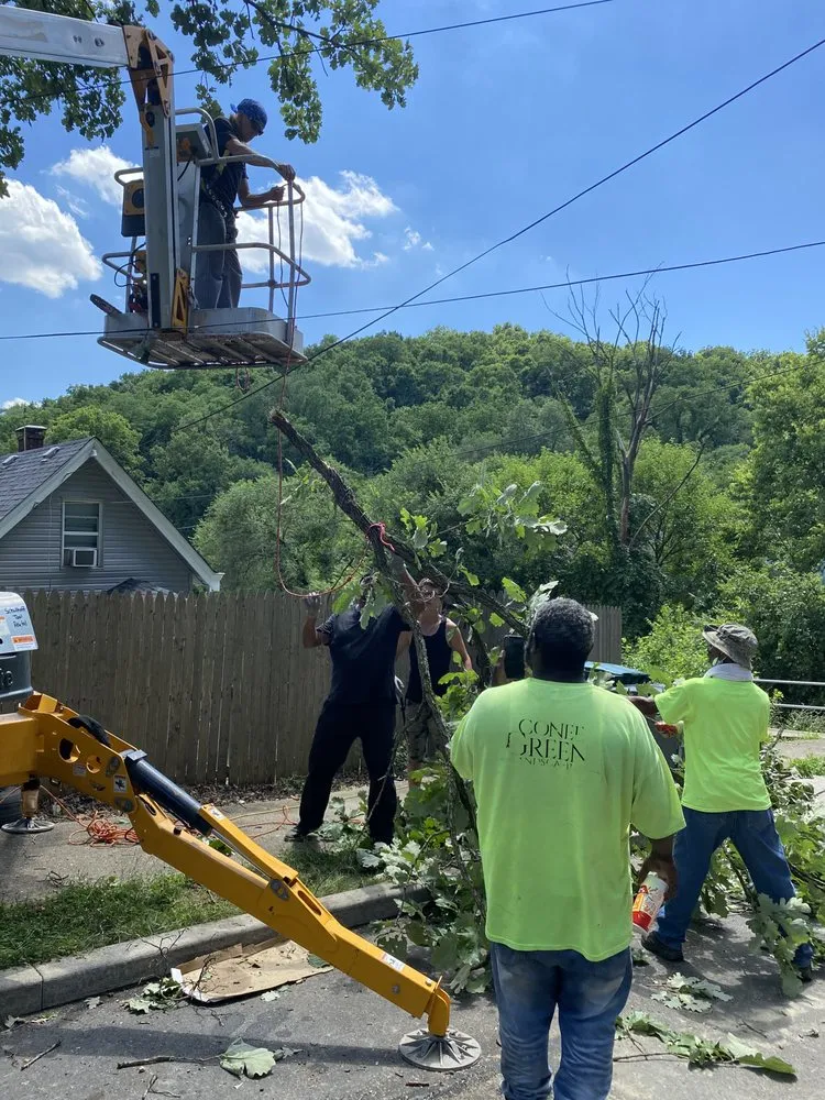 Affordable landscape design experts serving Cincinnati, OH - Gone Green Landscaping