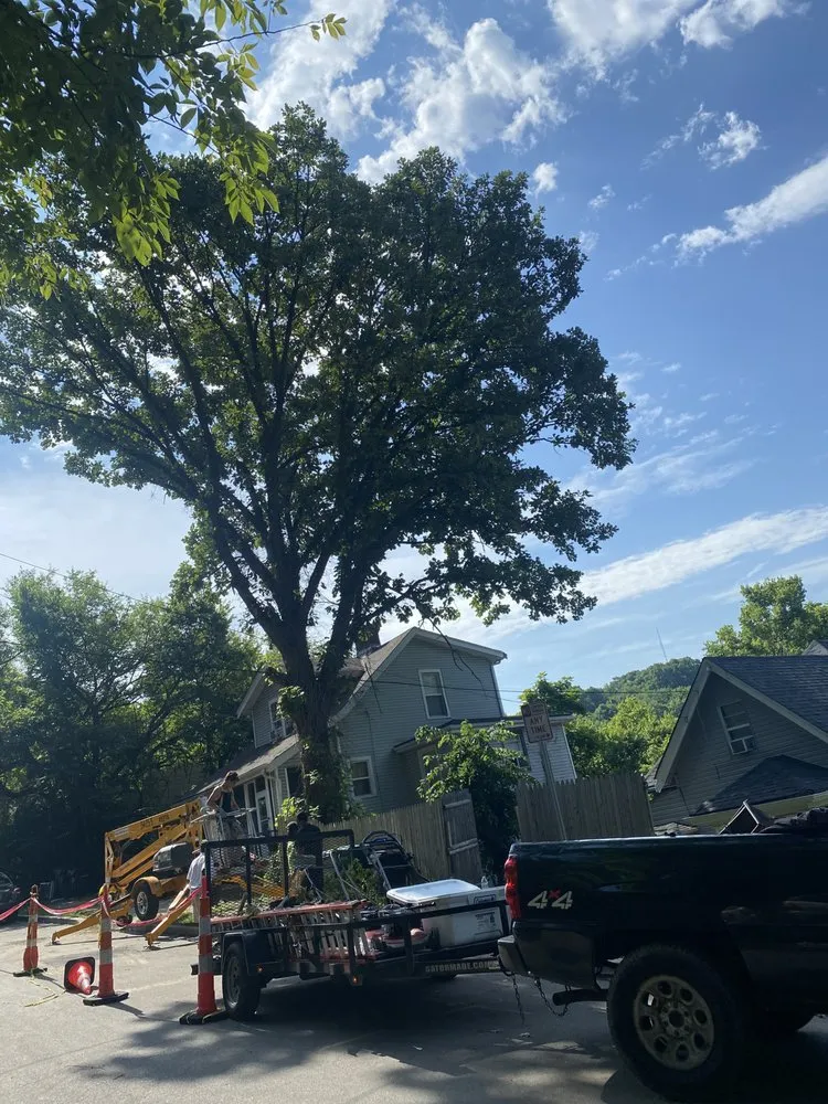 Professional landscaping services experts serving Cincinnati, OH - Gone Green Landscaping