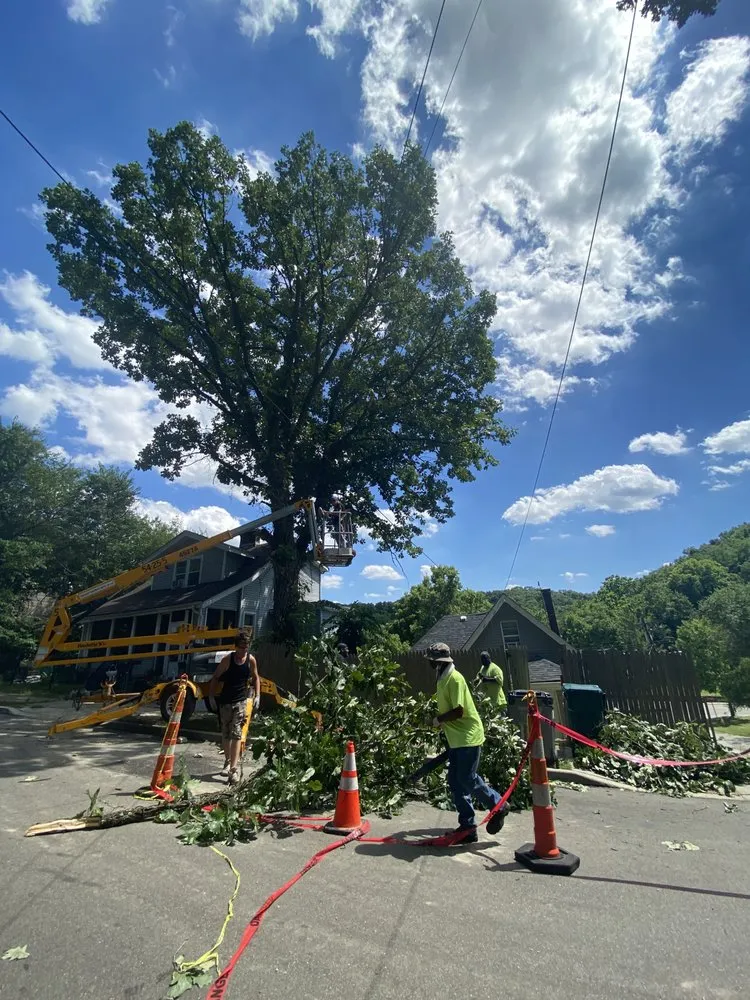 Custom yard maintenance experts serving Cincinnati, OH - Gone Green Landscaping