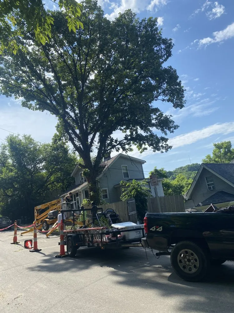 Trusted yard cleanup service for residential properties in Cincinnati, OH by Gone Green Landscaping