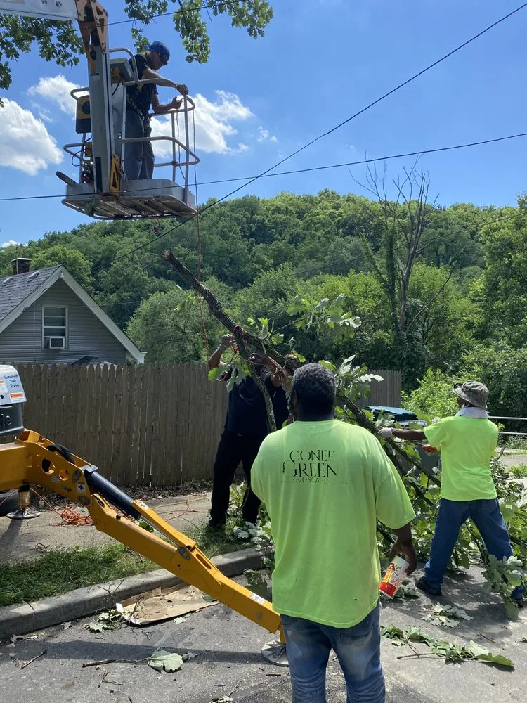 Trusted outdoor landscaping in Cincinnati, OH by Gone Green Landscaping