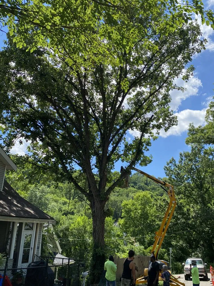 Custom residential landscaping for beautiful yards across Cincinnati, OH - Gone Green Landscaping