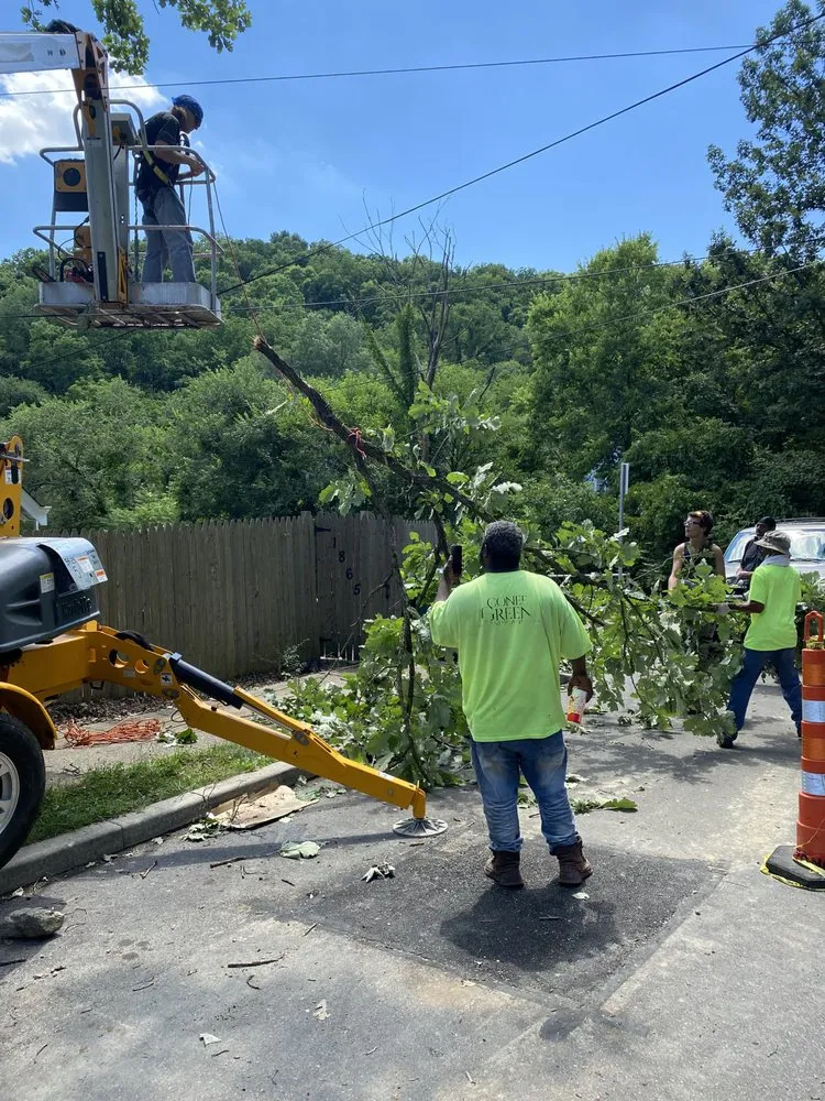 Affordable residential landscaping in Cincinnati, OH - Gone Green Landscaping