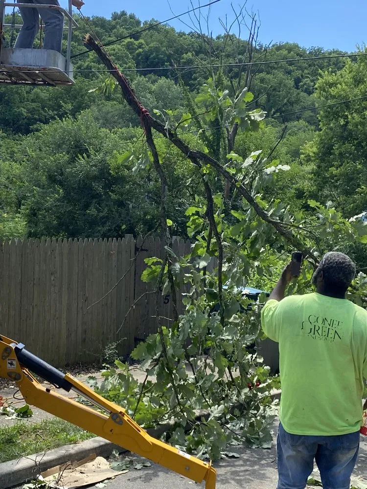 Custom landscaping services in Cincinnati, OH by Gone Green Landscaping