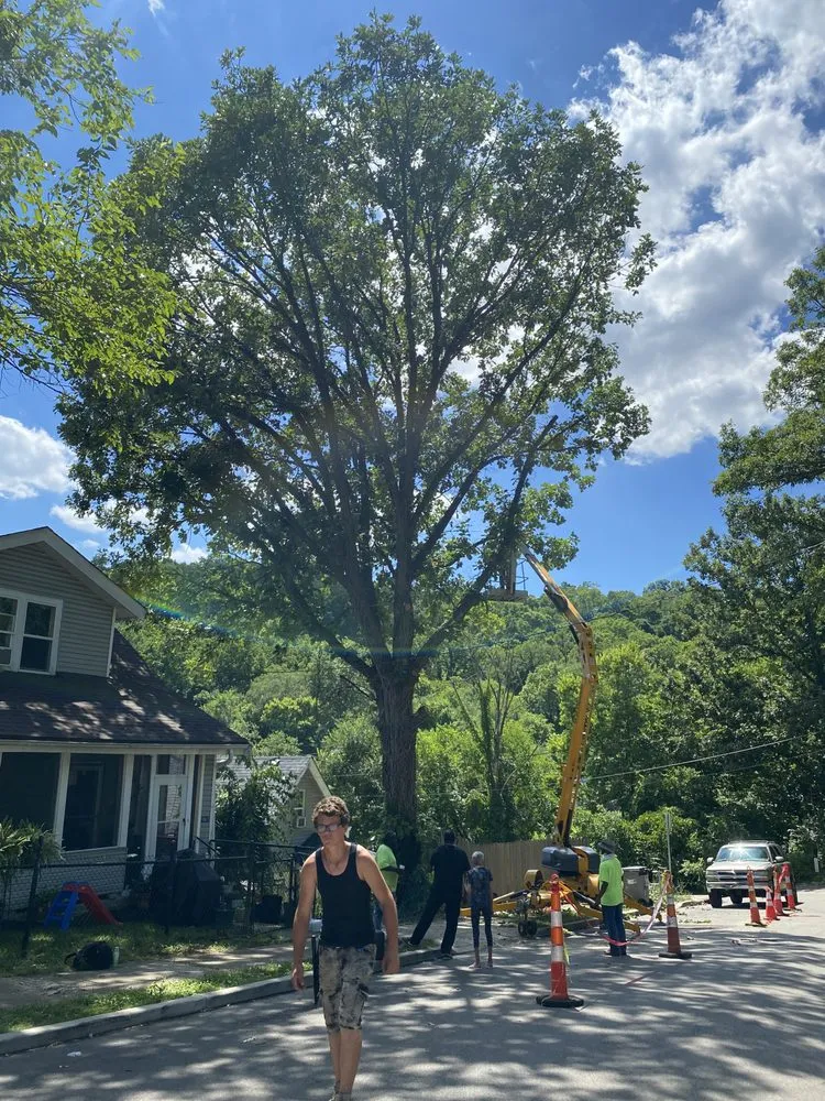 Local landscape installation in Cincinnati, OH by Gone Green Landscaping