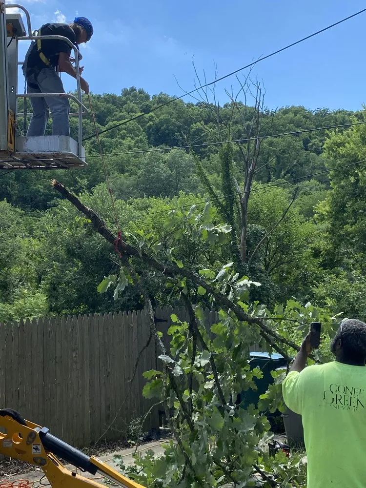 Top-rated landscape design in Cincinnati, OH - Gone Green Landscaping