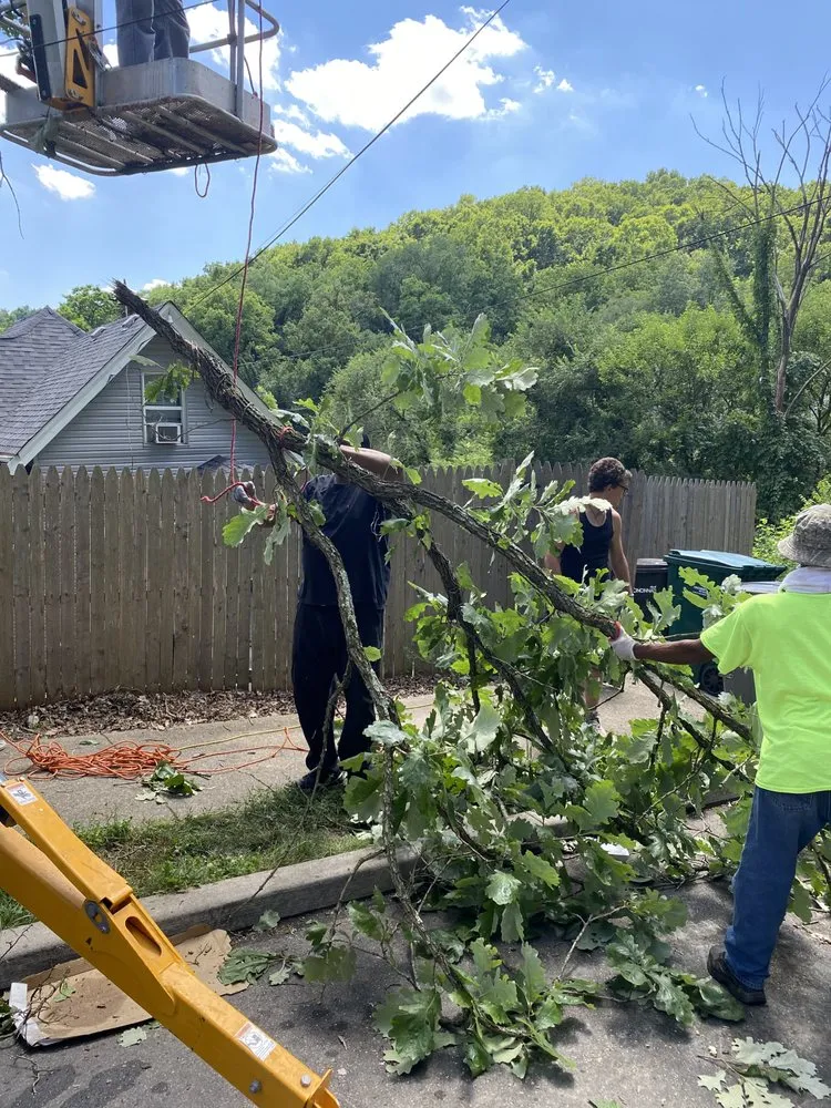 Professional lawn care service for outdoor upgrades across Cincinnati, OH - Gone Green Landscaping