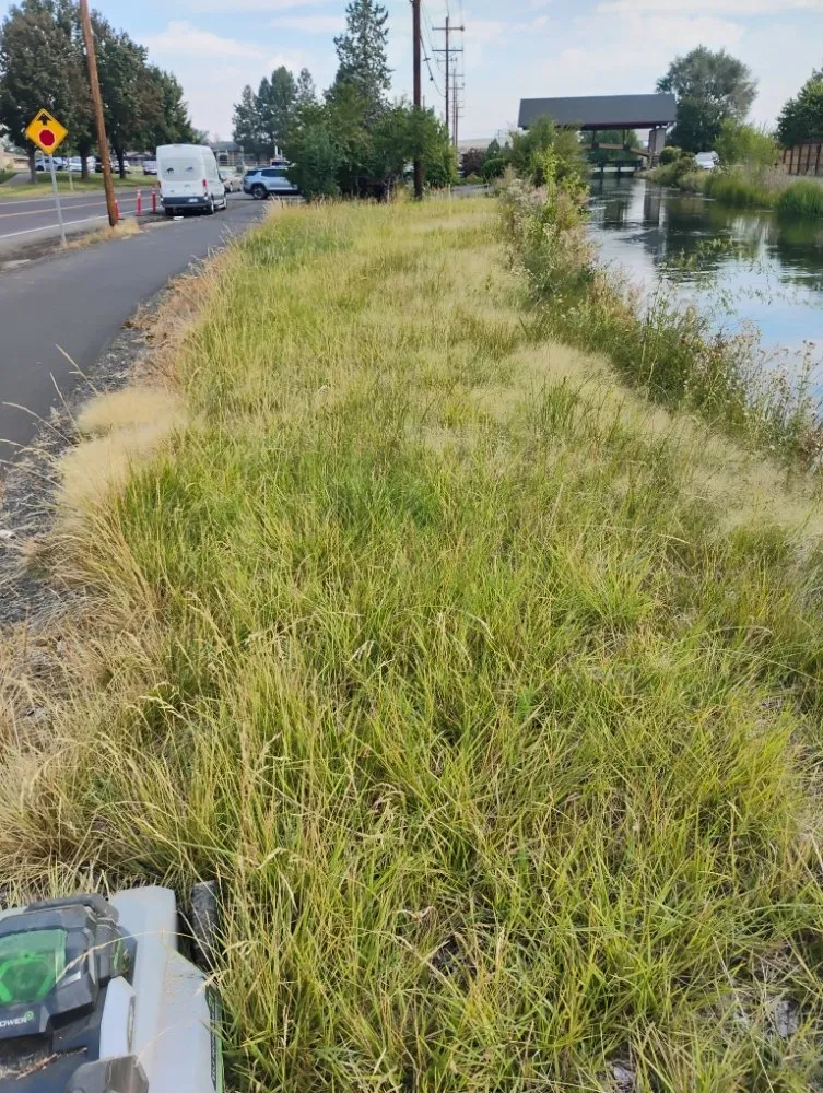 Affordable landscaping services in Redmond, OR - Gone Mowing Lawn Care