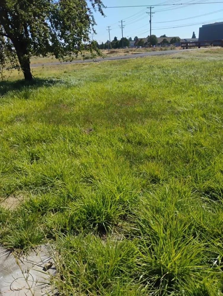 Affordable landscape design experts serving Redmond, OR - Gone Mowing Lawn Care