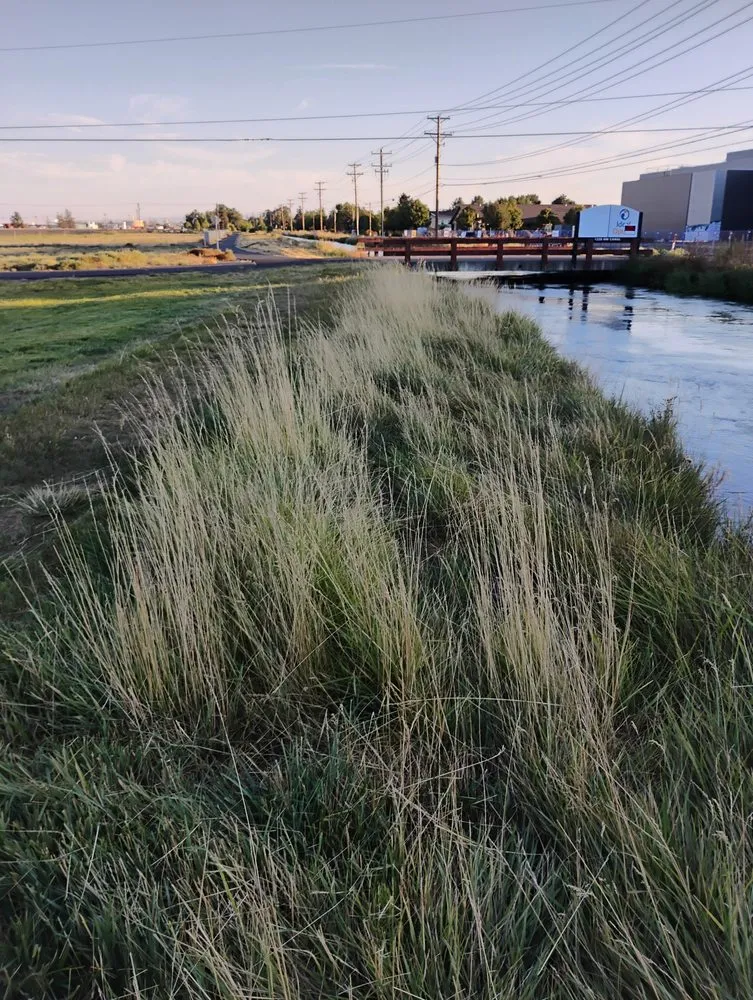 Top-rated landscape design for beautiful yards across Redmond, OR - Gone Mowing Lawn Care