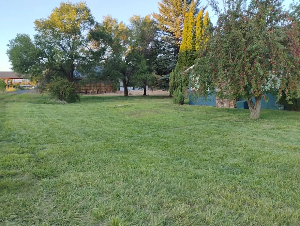 Professional landscaping services for beautiful yards across Redmond, OR - Gone Mowing Lawn Care