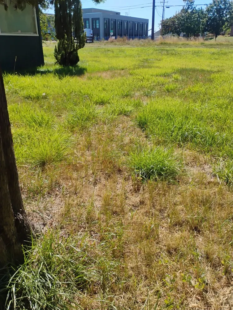 Affordable residential landscaping in Redmond, OR by Gone Mowing Lawn Care