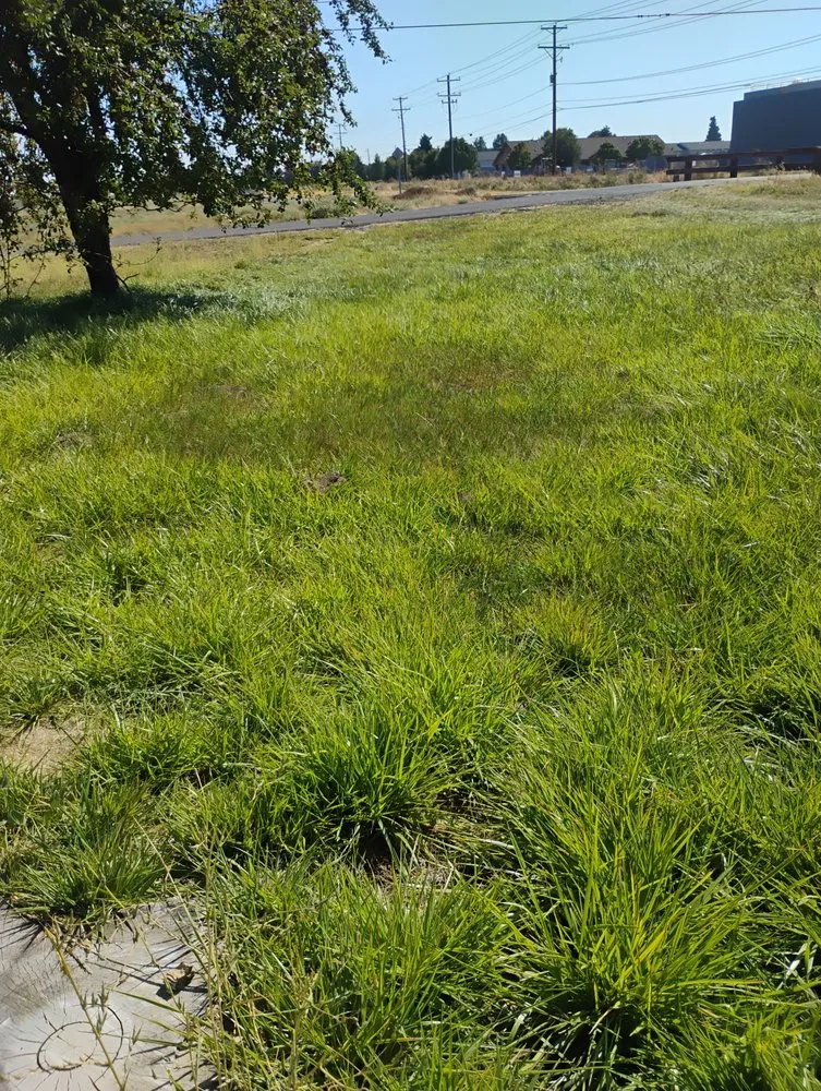 Expert lawn mowing service for homes in Redmond, OR by Gone Mowing Lawn Care