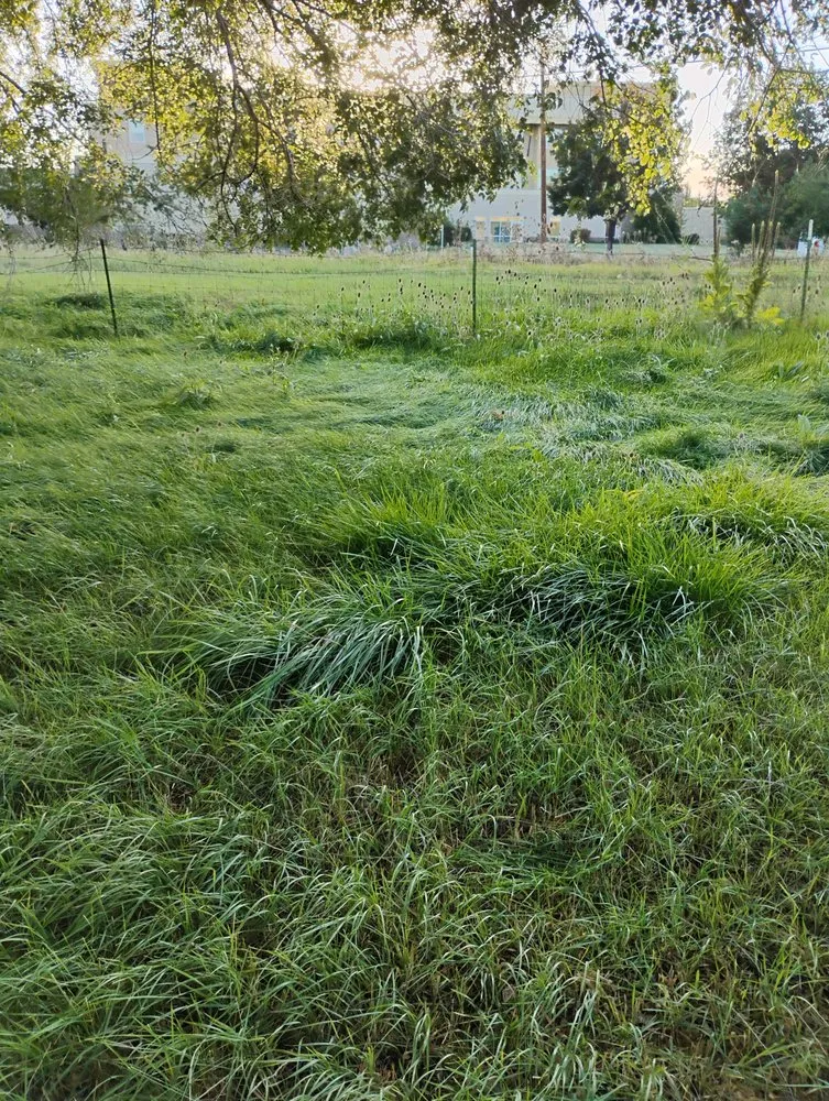 Reliable residential landscaping for year-round maintenance in Redmond, OR by Gone Mowing Lawn Care