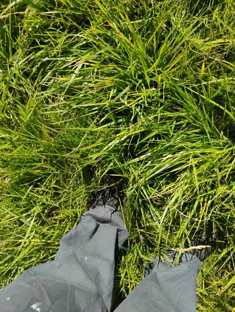 Professional residential landscaping in Redmond, OR by Gone Mowing Lawn Care