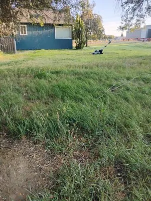 Gone Mowing Lawn Care Logo