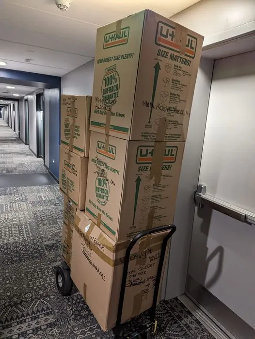 Affordable lawn care service with custom design in North Reading, MA by Gone Tomorrow Moving