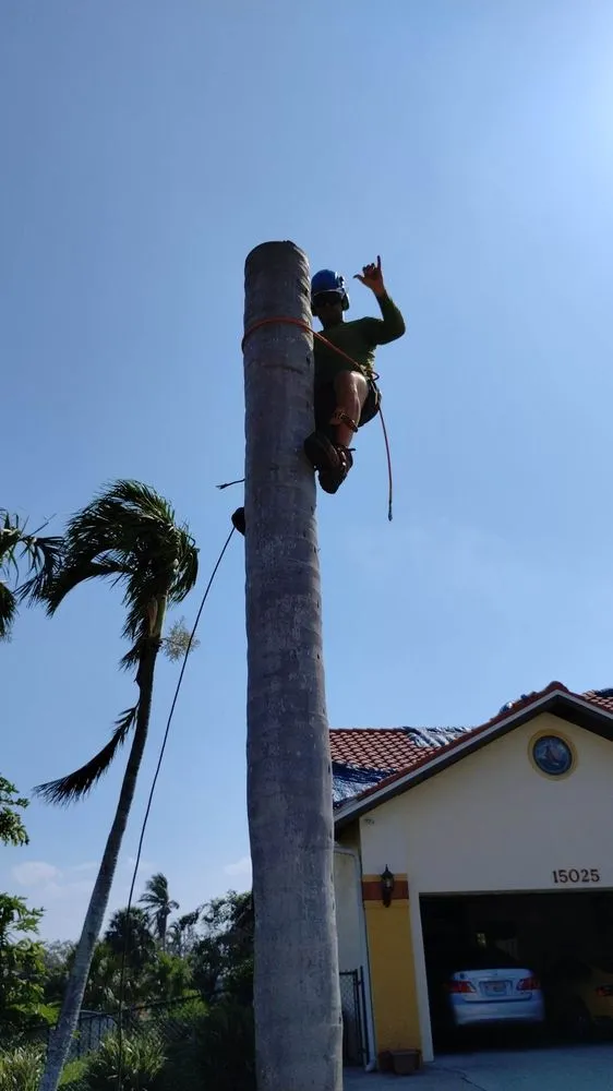 Expert landscape installation near you in Cape Coral, FL by Gone Tree Service