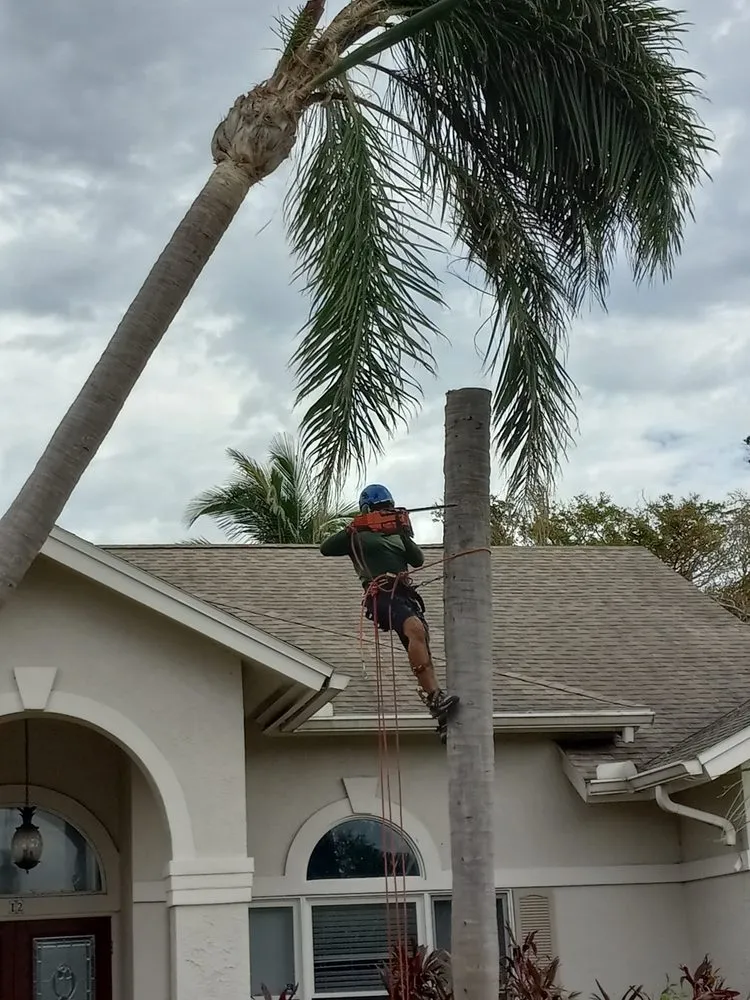 Expert lawn care service in Cape Coral, FL by Gone Tree Service