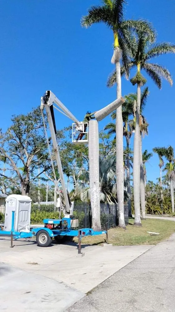 Affordable yard cleanup service in Cape Coral, FL - Gone Tree Service